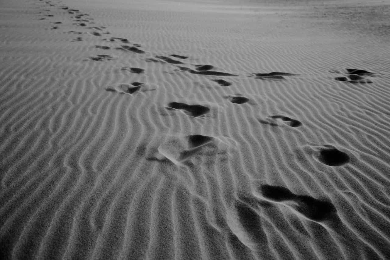 Footprints on ribbed sandy cost